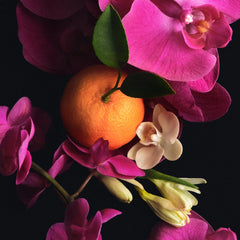 Scent Layering Trio Q9